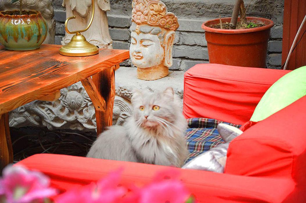 Luoyang Longmen Youth Hostel エクステリア 写真